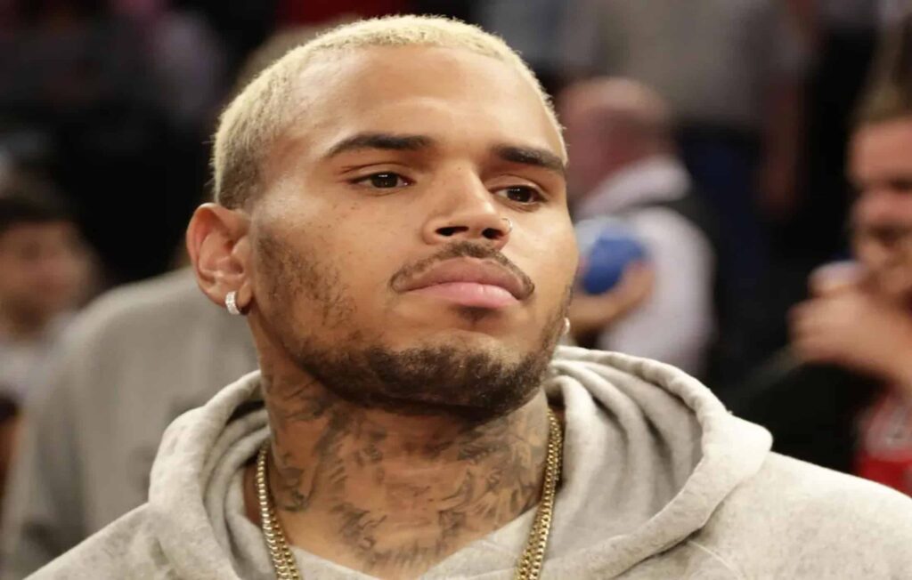 Chris Brown Net Worth 2022