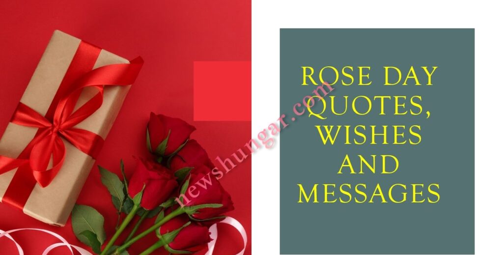 Rose Day quotes,Wishes and messages